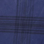 77_20250625_180036_0002